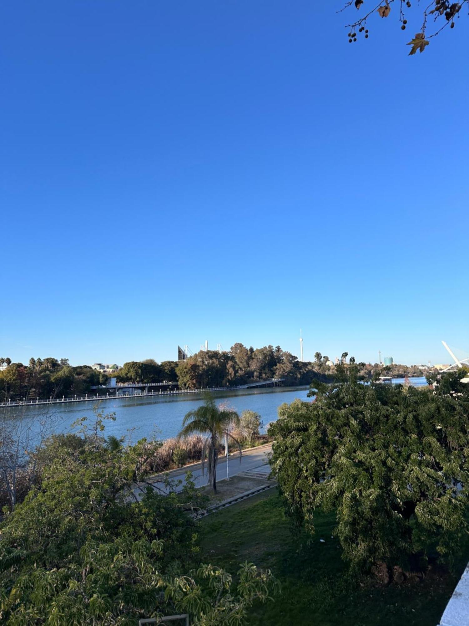 Lofts Escala Apartment Sevilla Bagian luar foto